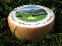 Raw milk cheese Lambert's approx. 500 gr. Neuhaushof