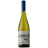 Tara Atacama Chardonnay - 2019 - Ventisquero