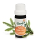 Spruce ( picea abies) - essential oil 10 ml. - Bergila South Tyrol