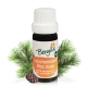Mountain pine (pinus mughus) - essential oil  organic 10 ml. - Bergila