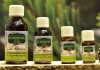 Mountain Pine Oil 10 ml. - Eschgfeller