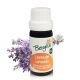 Lavender (lavandula hybrida super) - essential oil organic 30 ml. - Bergila