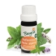 Peppermint (mentha piperita) - essential oil organic 30 ml. - Bergila