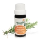 Rosemary (Rosmarinus off. ct. cineole) - essential oil organic 10 ml. - Bergila
