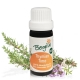 Thyme (thymus vulg. ct. thymol) - essential oil organic 5 ml. - Bergila