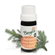 Silver fir (abies alba) - essential oil  organic 10 ml. - Bergila