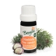 Arolla pine (pinus cembra) - essential oil organic 10 ml. - Bergila
