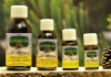 Swiss Pine Oil 10 ml. - Eschgfeller